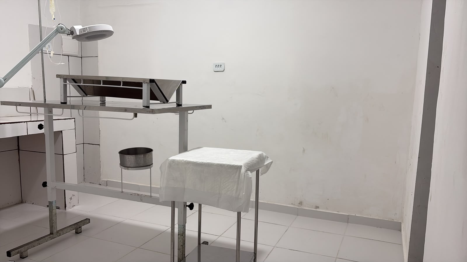 Sala de procedimentos veterinários da clínica Miau & Cia
